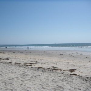 Meet your Posher, Dee